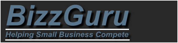 BizzGuru